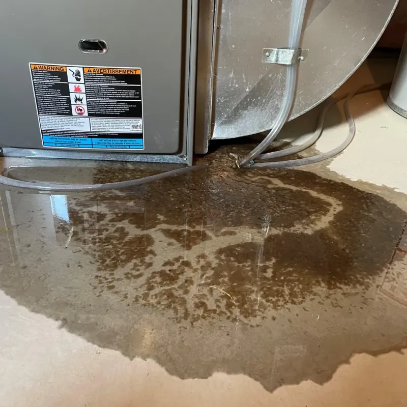 Appliance Leak Cleanup in Choccolocco, AL
