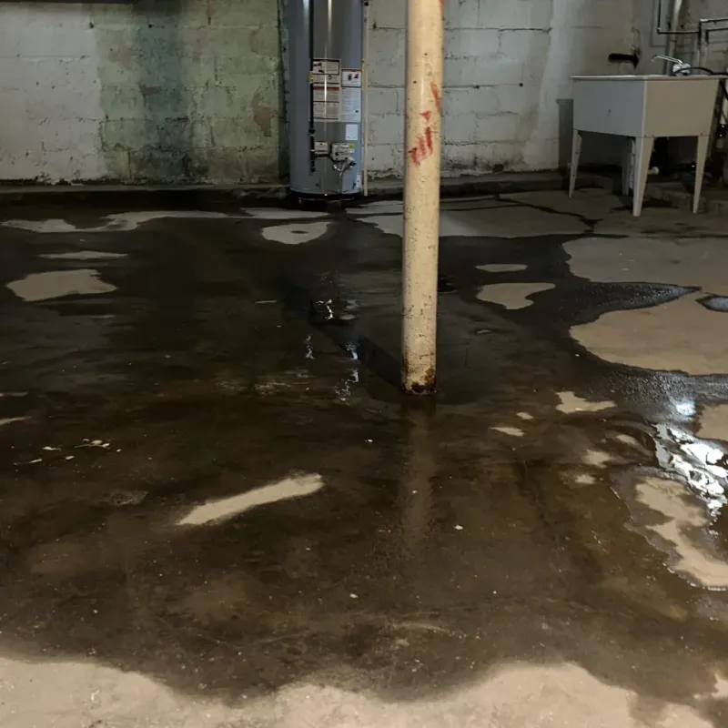 Emergency Water Extraction And Removal in Choccolocco, AL